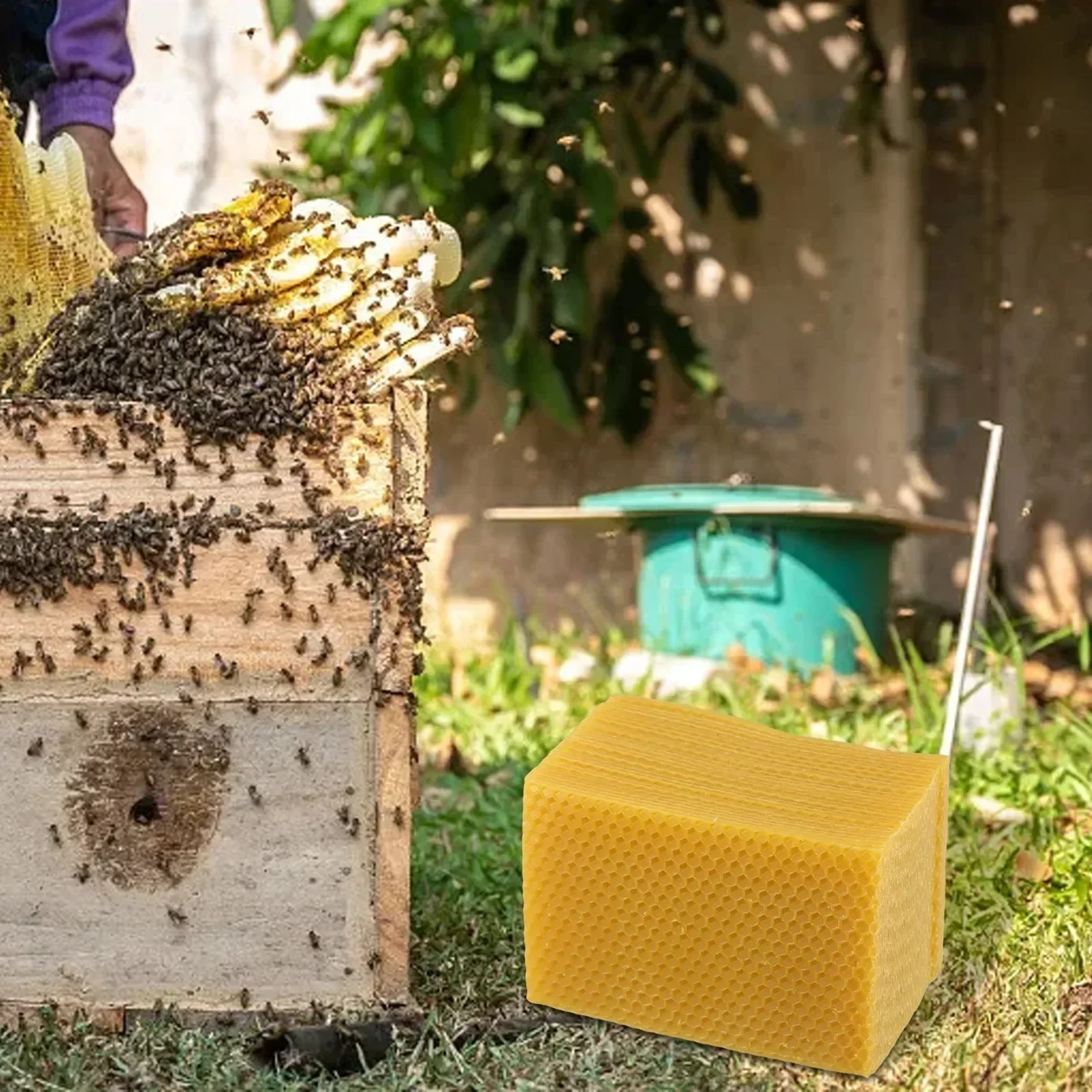 Beehive 용품 Beehive 재단 DIY 공예 5 - Candle Making Kit Beeswax 리뷰 및 가격